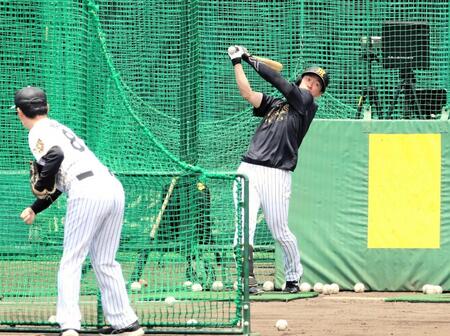 　屋外でフリー打撃を行う近本（撮影・藤丸紘生）