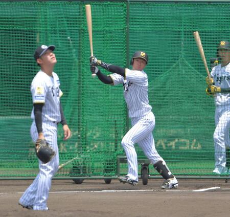 シート打撃の２打席目で左中間打を放つ近本（撮影・出月俊成）