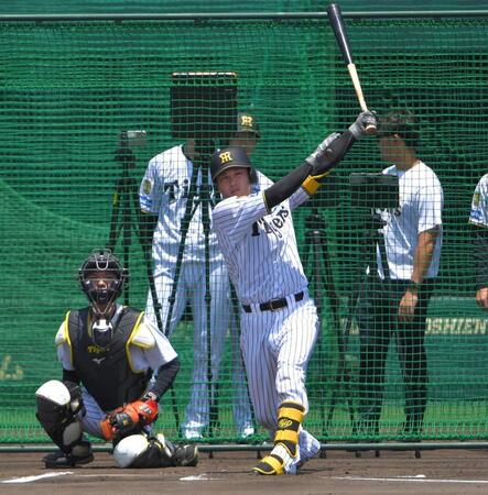 シート打撃の３打席目で安打を放つ伏見（撮影・出月俊成）