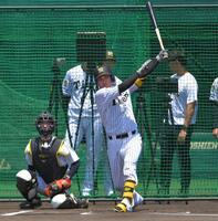 シート打撃の３打席目で安打を放つ伏見（撮影・出月俊成）