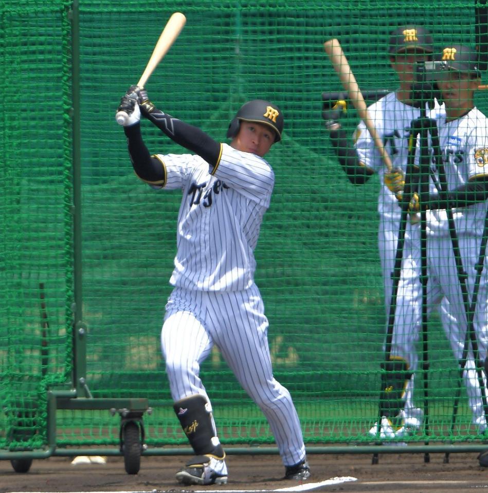 シート打撃の２打席目で左中間打を放つ近本（撮影・出月俊成）