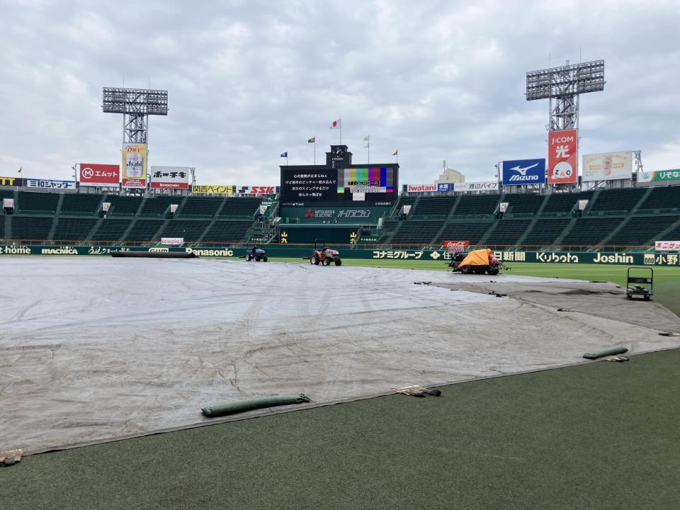 練習前、シートが敷かれている甲子園（撮影・西田忠信）