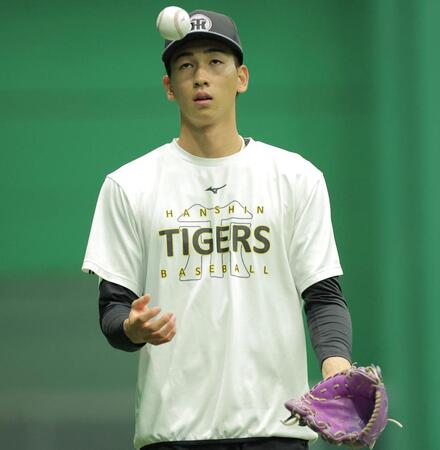 室内で調整する今朝丸（撮影・西田忠信）