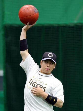 トレーニングする梅野（撮影・山口登）