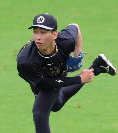 キャッチボールをして汗を流す今朝丸（撮影・立川洋一郎）