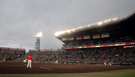 しっかりとグラインド整備され、定刻通りに試合開始した阪神対広島戦（撮影・山口登）