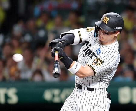 ７回阪神１死、左前打を放つ阪神・佐藤輝明＝甲子園（撮影・山口登）