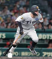 ５回、右前打を放つ佐藤輝（撮影・西田忠信）