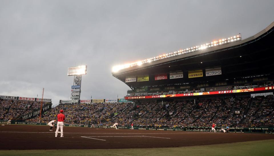 しっかりとグラインド整備され、定刻通りに試合開始した阪神対広島戦（撮影・山口登）