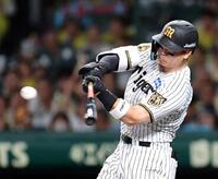 ７回阪神１死、左前打を放つ阪神・佐藤輝明＝甲子園（撮影・山口登）