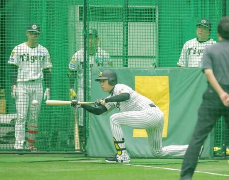 コーチらが見守る中、バント練習をする才木（撮影・西田忠信）