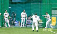 　バント練習に取り組む（左から）坂本、植田、木浪、梅野（撮影・西田忠信）