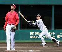 １回、近本は初球をスイングし中飛に倒れる（撮影・山口登）