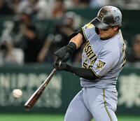 ７回、ソロを放つ前川（撮影・田中太一）