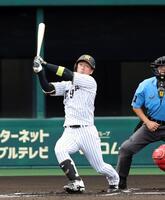 １回、近本は初球をスイングし中飛に倒れる（撮影・山口登）