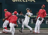 ６回、一塁ゴロに倒れる近本（撮影・山口登）