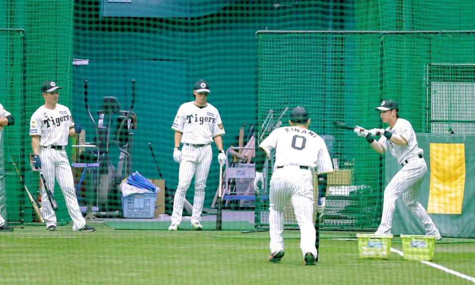 　バント練習に取り組む（左から）坂本、植田、木浪、梅野（撮影・西田忠信）