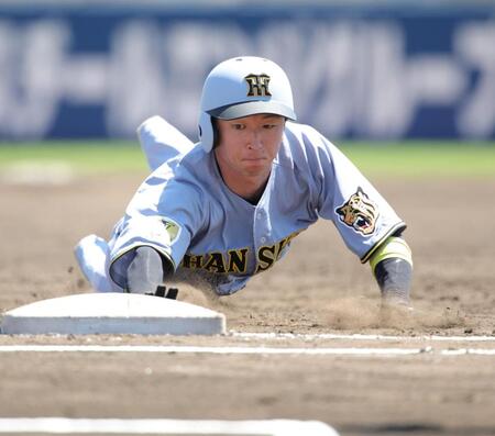 ３回、四球で出塁し、けん制で帰塁する近本（撮影・坂部計介）