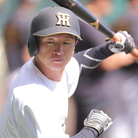 打撃練習に取り組む近本（撮影・西田忠信）