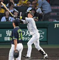 ３回、右犠飛を放つ近本（撮影・飯室逸平）