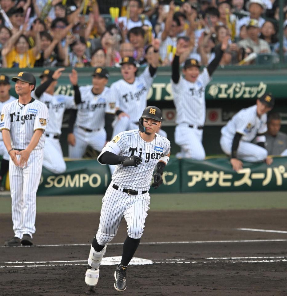 ２回、先制の１７号ソロを放つ佐藤輝（撮影・飯室逸平）