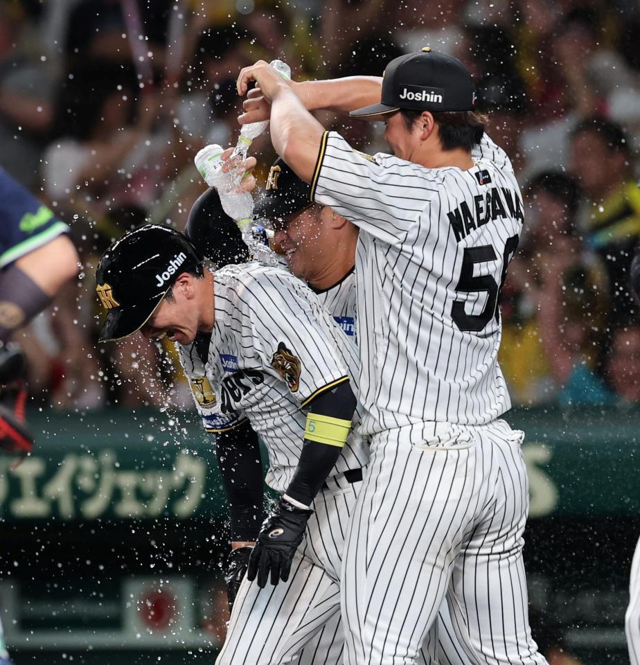 ９回、サヨナラの生還した近本はナインから手荒く祝福される（撮影・山口登）