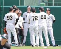 甲子園での練習に参加するルーカス（中央）＝撮影・西田忠信