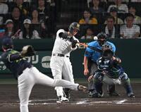 ７回、先制の１８号２ランを放つ佐藤輝（撮影・飯室逸平）