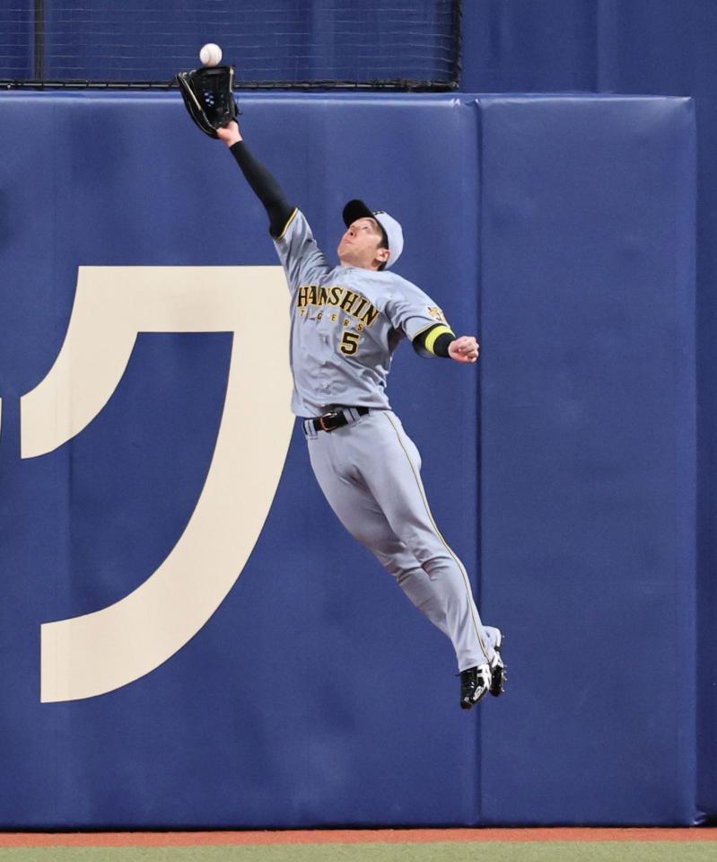 ６回、細川の打球を好捕する近本（撮影・田中太一）