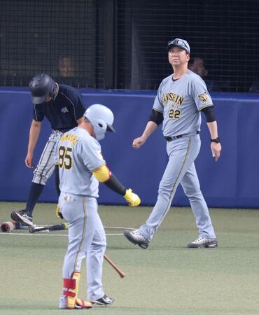 ８回表が終了し、選手交代を告げに向かう藤川監督。手前は空振り三振に倒れた代打・嶋村（撮影・立川洋一郎）
