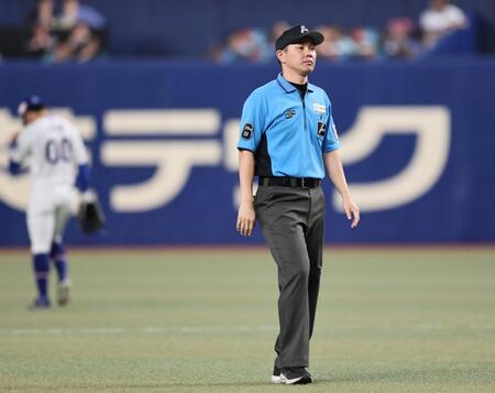 ９回、大山の打球が審判に当たる（撮影・田中太一）