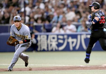 ７回、本塁へ送球し生還を阻止する大山。右は細川（撮影・田中太一）