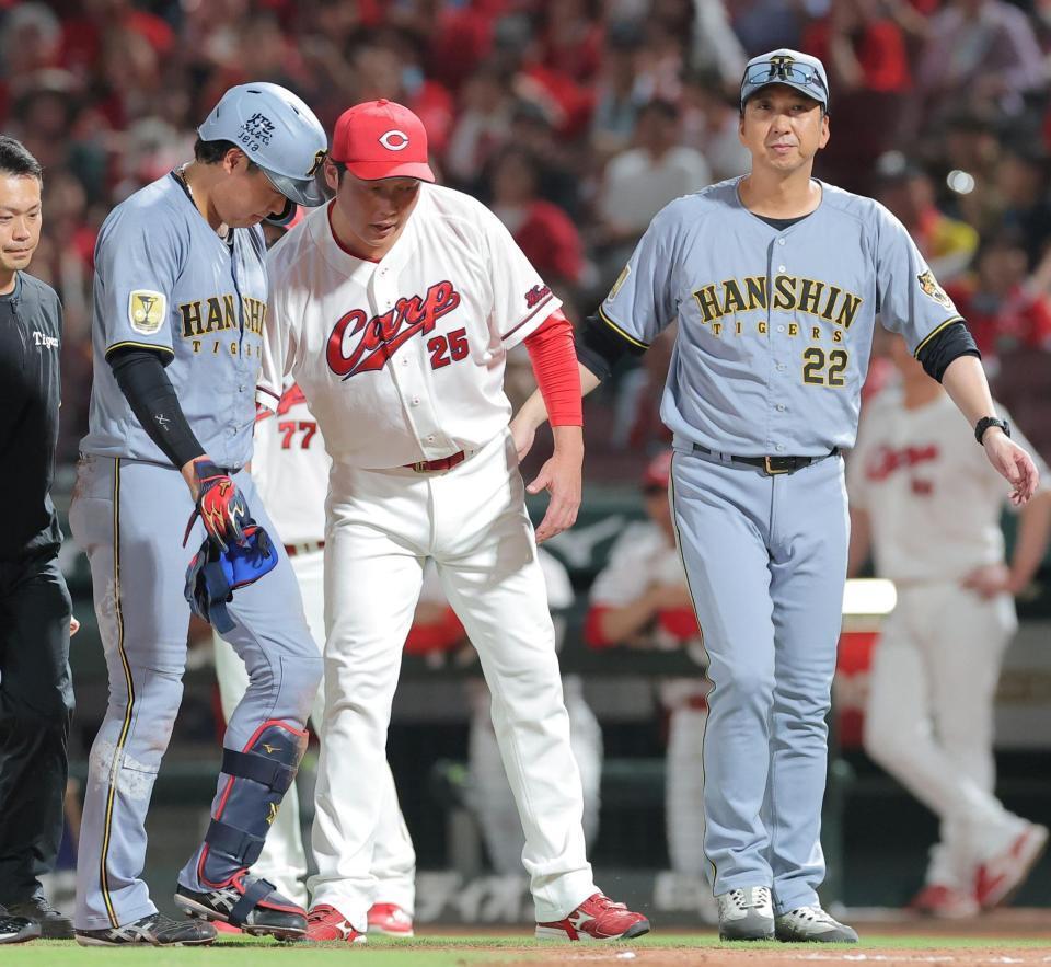 ８回、死球を受けた大山（左）に声をかける新井監督。右は藤川監督（撮影・西田忠信）