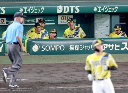 ９回、高寺が左飛に倒れて試合終了。ベンチから腰を上げる藤川監督（中央）＝撮影・立川洋一郎