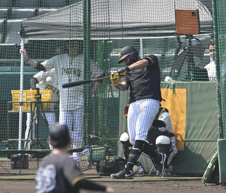 藤川監督が見守る中打撃練習するガルシア（撮影・飯室逸平）