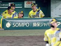 ９回、高寺が左飛に倒れて試合終了。ベンチから腰を上げる藤川監督（中央）＝撮影・立川洋一郎