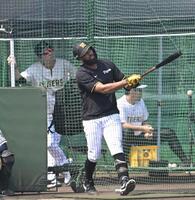 藤川監督が見守る中、打撃練習するガルシア（撮影・飯室逸平）