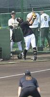 藤川監督が見守る中、打撃練習するガルシア（撮影・飯室逸平）