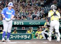 １１回、筒香（手前左）が三振に倒れ、ベンチでガッツポーズをする藤川監督（撮影・田中太一）