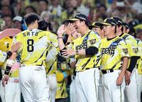 サヨナラ勝ちを決めたナインを迎える藤川監督（撮影・田中太一）