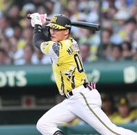 ２回、中前へ安打を放つ元山（撮影・田中太一）