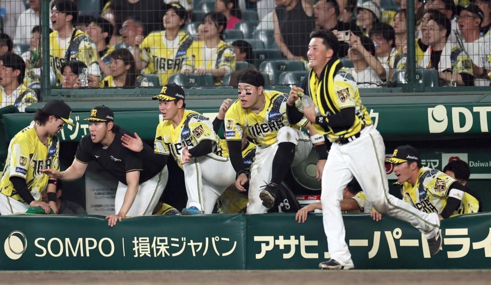 １１回、高寺がサヨナラ打を決めるベンチから飛び出す元山（右）らナイン（撮影・田中太一）