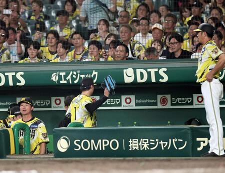８回、守備から戻った森下はグラブを投げつける（撮影・田中太一）