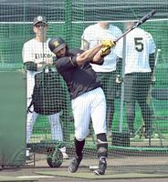 　藤川監督（左奥）が見守る中、打撃練習するガルシア（撮影・飯室逸平）