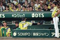 ８回、守備から戻った森下はグラブを投げつける（撮影・田中太一）