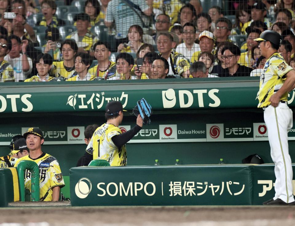 ８回、守備から戻った森下はグラブを投げつける（撮影・田中太一）
