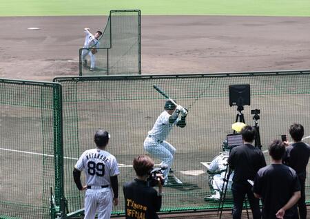 ライブＢＰで打者に対して投げ込む石井（撮影・田中太一）