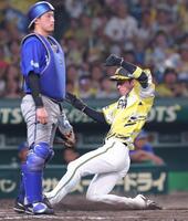 ８回、森下の右犠飛で勝ち越しの生還をする近本（撮影・立川洋一郎）