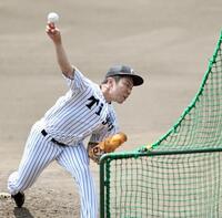 ライブＢＰで力強く投げ込む石井（撮影・田中太一）
