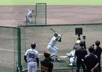 ライブＢＰで打者に対して投げ込む石井（撮影・田中太一）